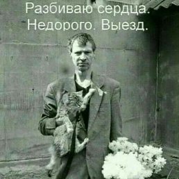  Aleks, - -  22  2017