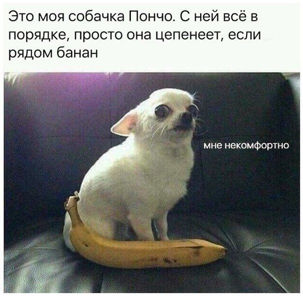  - 10  2018  03:47