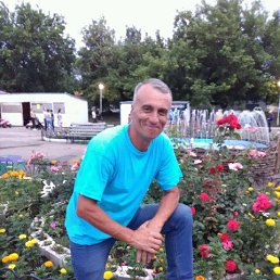 ������, ���������� �����, 56 ���