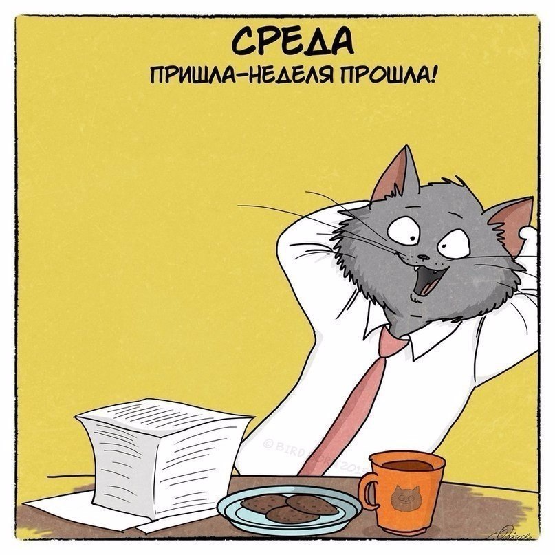  .#@ican - 3