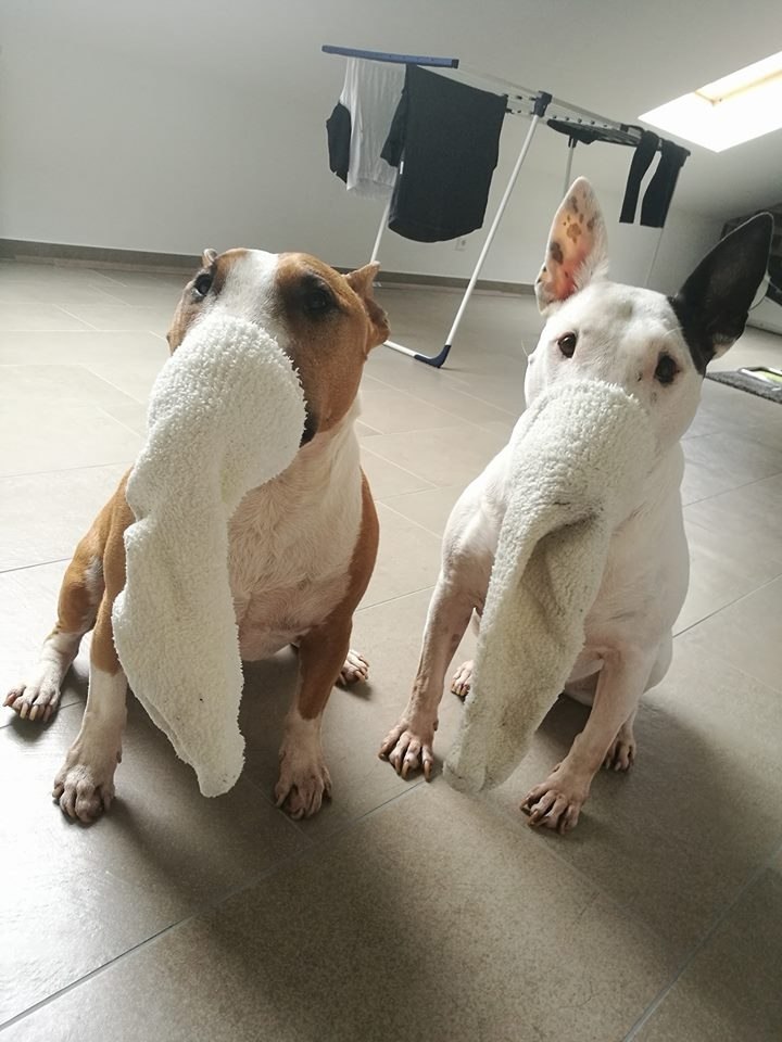 ,  !