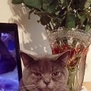 ���� Marusia, ������, 55 ��� - ��������� 10 ���� 2018 � ������ �Vincent De La Rancho�