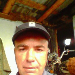 ���� ������, ���������, 46 ��� - ��������� 7 ���� 2018