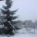 ���� ������, �����������, 37 ��� - ��������� 11 ����� 2018 � ������ ���� ����������