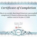 This certificate above verifies that Danil Startcev successfully completed the course Javascript Essentials on Jan. 8, 2018 as taught by Lawrence Turton on Udemy. https://www.udemy.com/certificate/UC-DAMJHUQL/   Udemy