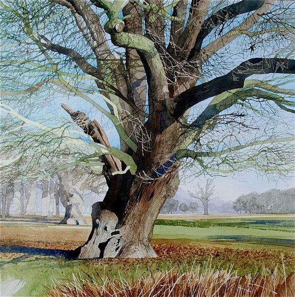 Ian Sidaway. - 2
