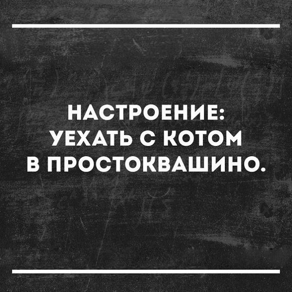  -   - 11  2018  03:35