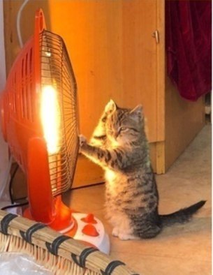    :3 - 5