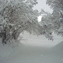 2 ������� �� ������� ���� ����������