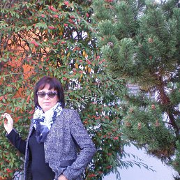 ���� �����, ������ �����, 62 ���� - ��������� 27 ������ 2017