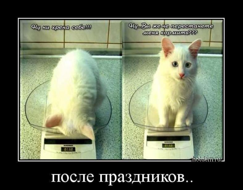   :3 - 28  2018  16:00
