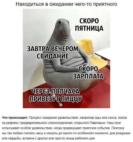 8 советов нейробиолога о том, как стать счастливым раз и навсегда. - 8