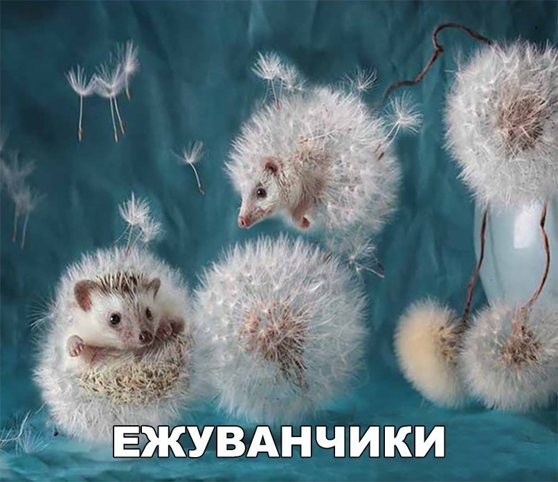    :D - 19  2018  02:58