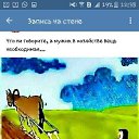 ���� ������ �., ����, 66 ��� - ��������� 17 ��� 2018 � ������ ���� ����������