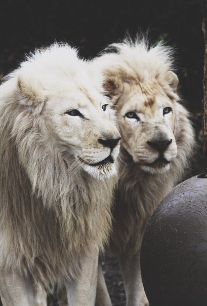       - 13  2018  02:45 - 5