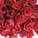  , -, 64  -  25  2018    