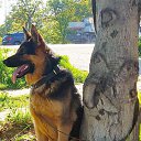 ���� �����, �����������, 49 ��� - ��������� 31 ��� 2018 � ������ ������ ��������