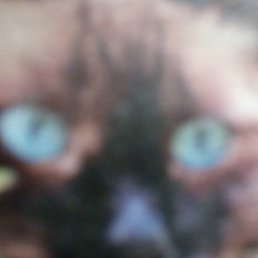 ���� ������, ���������� �����, 34 ���� - ��������� 31 ����� 2018