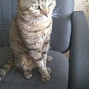 ���� Olga, ���������, 74 ���� - ��������� 20 ���� 2018 � ������ ������ ��������