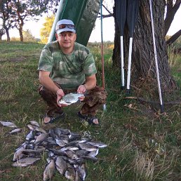 ���� ������, �������, 54 ���� - ��������� 5 ����� 2018