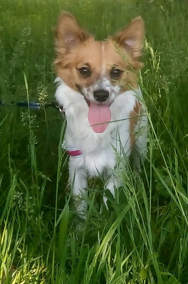 Holly!