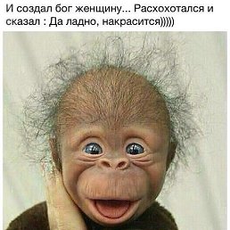 ���� Fmaks, �����, 48 ��� - ��������� 11 ������� 2018