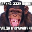 ���� �����, �������, 36 ��� - ��������� 15 ������ 2018 � ������ ���� ����������