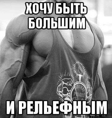 SportFeed - 8  2018  03:51
