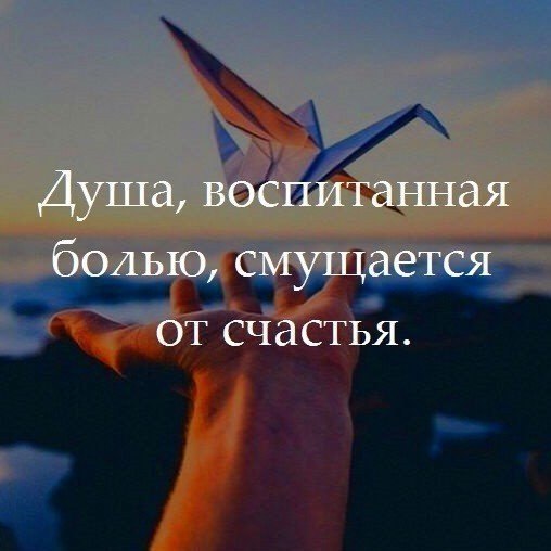    - 20  2017  04:07