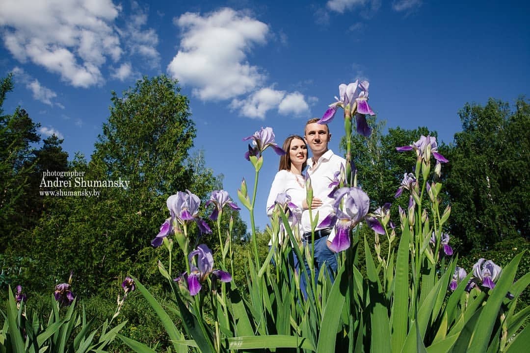     .   https://fotostrana.ru/away?to=/sl/nY2 80293252603 #wedding #weddings ...