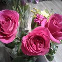 ���� ����������, ����������, 51 ��� - ��������� 7 ����� 2018 � ������ ���� ����������