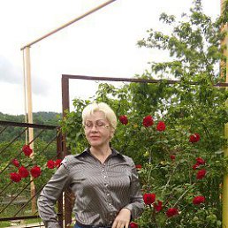 �����, �����, 61 ���