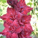 ���� �����, ������ - ��������� 13 ���� 2018 � ������ ���� ���������