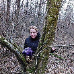 ���� �����, ������, 39 ��� - ��������� 4 ������� 2017