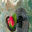 ���� ������, ���������, 57 ��� - ��������� 9 ������ 2018 � ������ ���� ����������