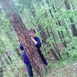 �������, ���������, 58 ���