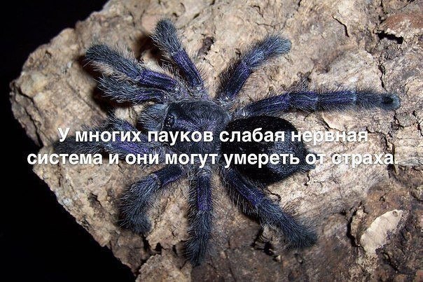   :    - 15  2017  03:44