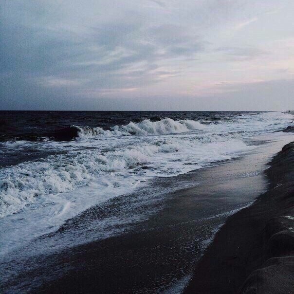  -  ,    ,    