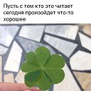 ���� �������, �������, 52 ���� - ��������� 24 ��� 2018 � ������ ���� ����������