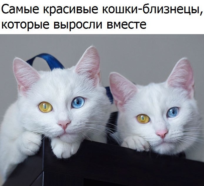  - 2  2017  21:17