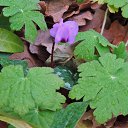  , , 60  -  28  2018     , 2018,  