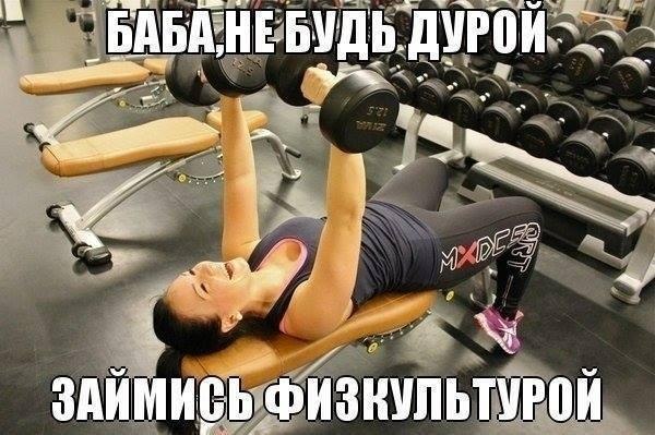 SportFeed - 30  2017  03:56