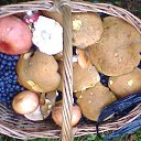 ���� �������, �����-��������� - ��������� 20 ������� 2017 � ������ ������ ��������