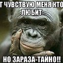 ���� �����, ����� - ��������� 6 ��� 2018 � ������ ������ ��������