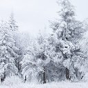 ���� ��������� ��������, ����� - ��������� 31 ������ 2018 � ������ ������ ��������