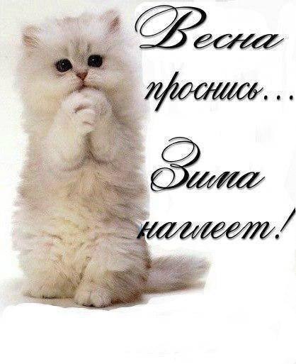 ,     ,   ...!