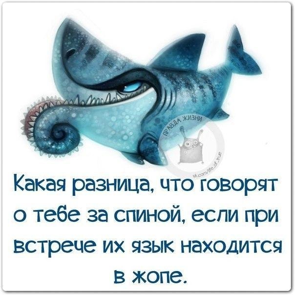   - 24  2018  02:39