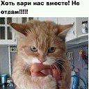���� �������, �����������, 41 ��� - ��������� 29 ������ 2018