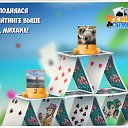 ���� ���, �����, 54 ���� - ��������� 21 ����� 2018 � ������ �������� �������-�������