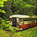 ���� �����, ��������, 46 ��� - ��������� 9 ������� 2018 � ������ ������ ��������